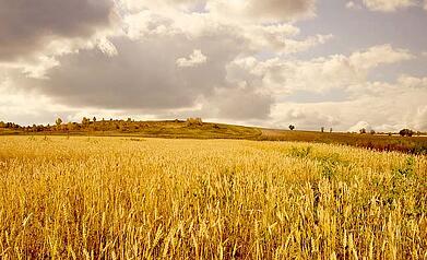 valoriser-exploitation-agricole valoriser-exploitation-agricole